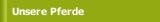 Unsere Pferde 